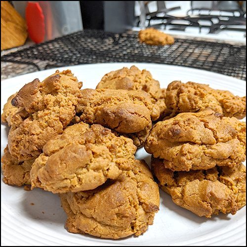 vegan peanut butter cookies by alton brown